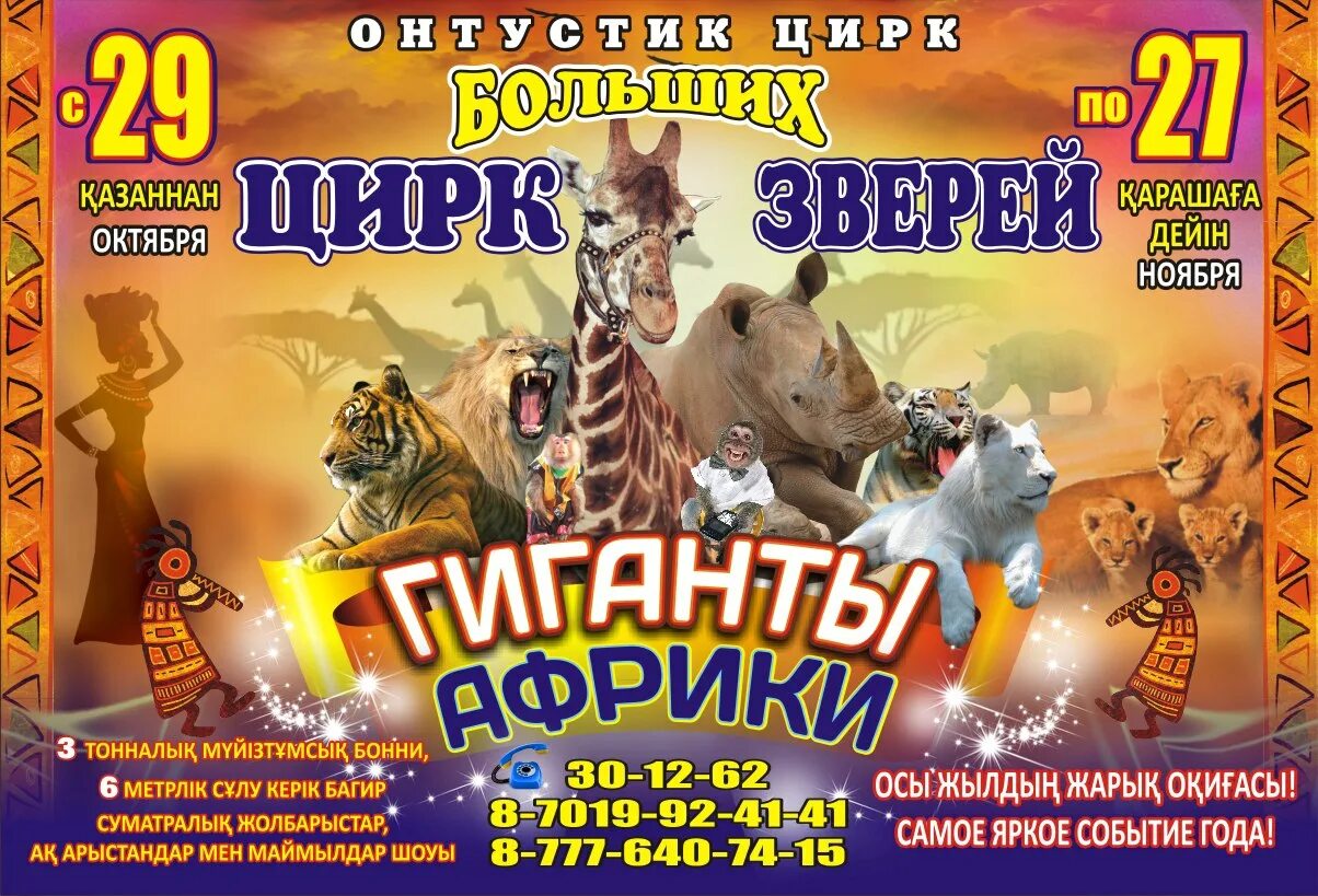 Цирк больше меньше какие животные. Цирк больших зверей гиганты африки. цирк гиганты африки афиша. цирк в шымкенте. великан цирк.