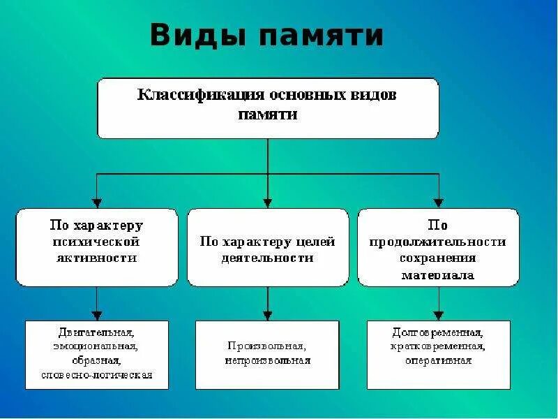 Отличительные особенности памяти человека. Классификация и характеристика памяти. Виды памяти схема. Особенности процессов памяти. Виды индивидуальной памяти.