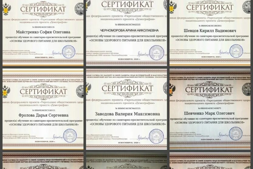 Основы здорового питания сертификат. Сертифика основы здорового питания". Сертификат по основам здорового питания. Основы здорового питания обучение сертификат.