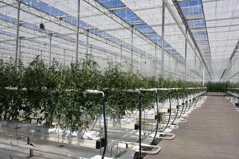 Система закрытого грунта