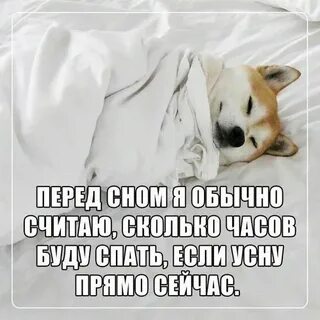 Сон писать слова