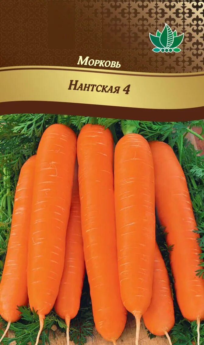 Какая морковь сладкая. Сорт моркови Нантская 4. Сорт моркови Нантская. Морковь Нантская семена. Нантская морковь Нантская.
