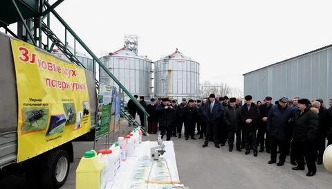 Курск агро