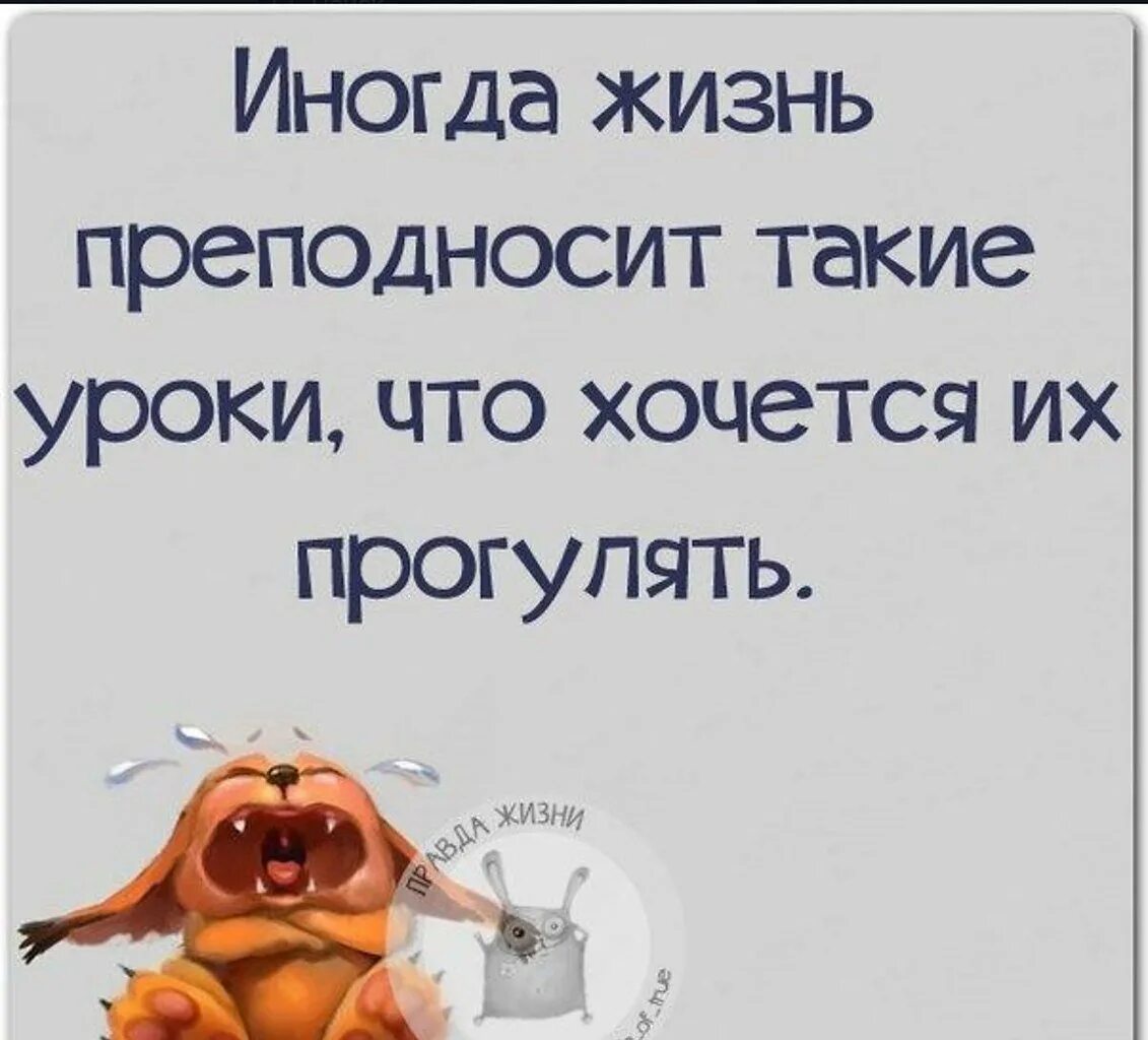 Жизнь преподнесла урок. Смешные цитаты. Смешные высказывания. Афоризмы с юмором. Веселые цитаты.