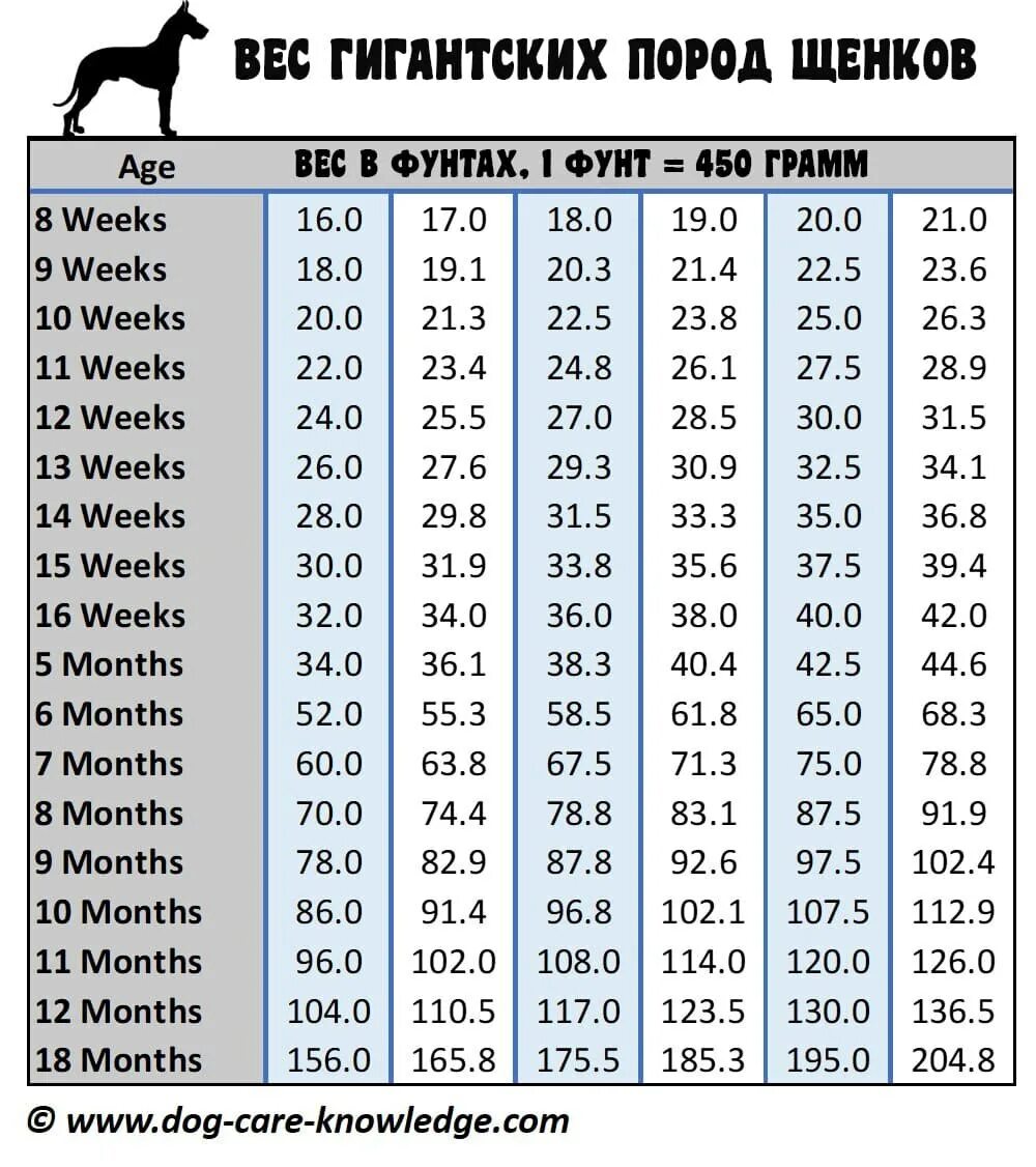 Таблица веса щенков средних пород по неделям. Вес щенка средней породы по месяцам. Таблица веса щенков крупных пород. Вес щенка в 2 месяца таблица по породам.