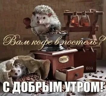 Надпись доброе утро ежики