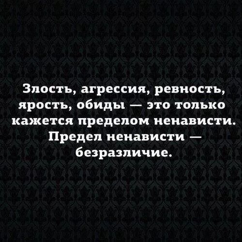 Статья ревность. Фразы про злость. Агрессивные высказывания. Высказывания о ненависти. Цитаты про злость.