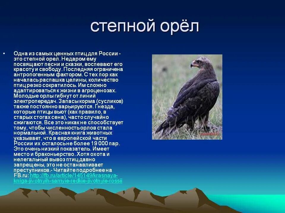 Почему орел назвали орлом. Степной орёл краткое описание 4 класс. Степной Орел 4 класс окружающий мир. Степной Орел из красной книги. Сообщение об Орле.