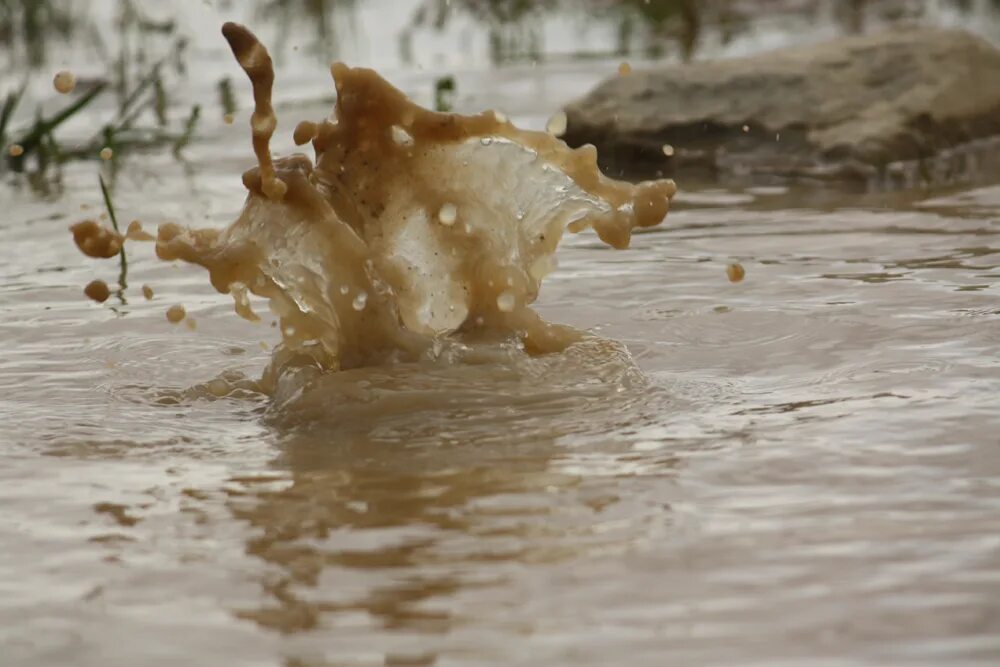 Мутная вода. Грязная вода. Мутная вода в реке. Приснилась мутная вода