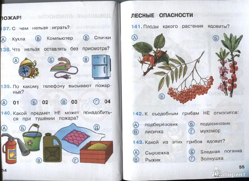 Окружающий мир соседи тест