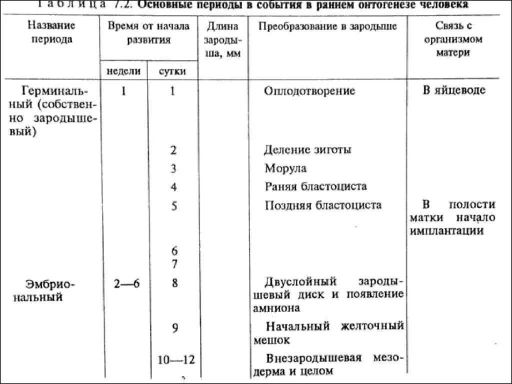 Последовательность событий онтогенеза. Основные периоды онтогенеза человека. Периодизация развития человека в онтогенезе. Основные этапы развития человека в онтогенезе. Основные этапы онтогенеза человека.