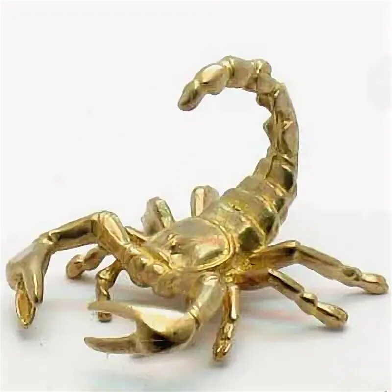 Знак зодиака скорпион. Амулет скорпион. Амулет скорпион. Скорпион удача. Скорпион удача.