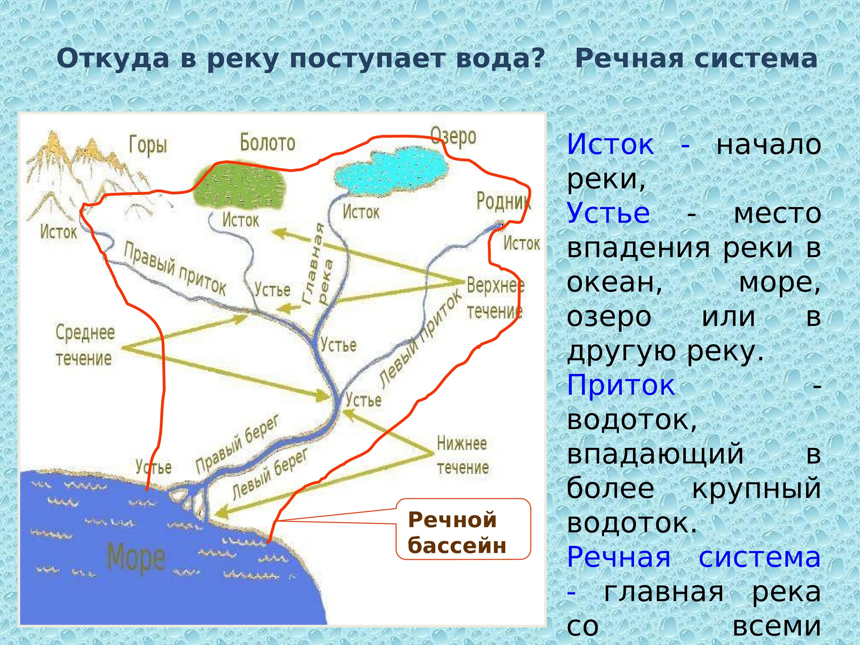 География устье реки. Что такое Речная система Речной бассейн водораздел. Откуда в реку поступает вода. Схема Речной системы. Реки в природе и на географических картах.