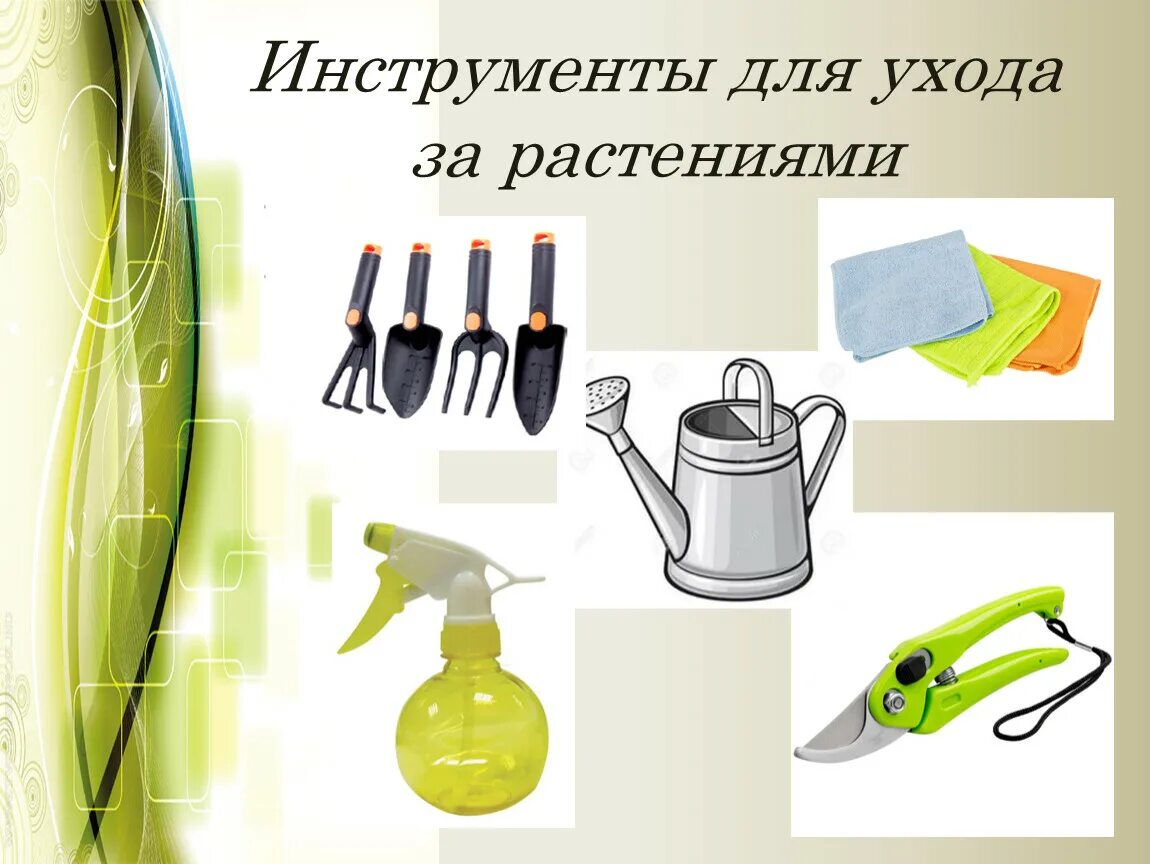 Можно использовать для ухода за. Предметы для ухода за растениями. предметы для ухода за комнатными цветами. предметымпо уходу за растениями. инструменты для ухода за домашними растениями.