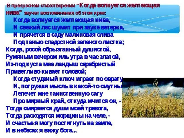 Стихотворение желтеющая нива анализ. М.Ю.Лермонтова "когда волнуется желтеющая Нива...". Стихотворение м.ю. Лермонтова "когда волнуется желтеющая Нива...". Желтеющая Нива стих. Стихотворение когда волнуется желтеющая.