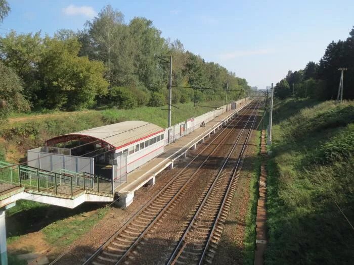 Локомотив джд новомосковск. Платформа дубочки. Станция куяр марий эл. Станция дубки. Дубки марий эл поселок.