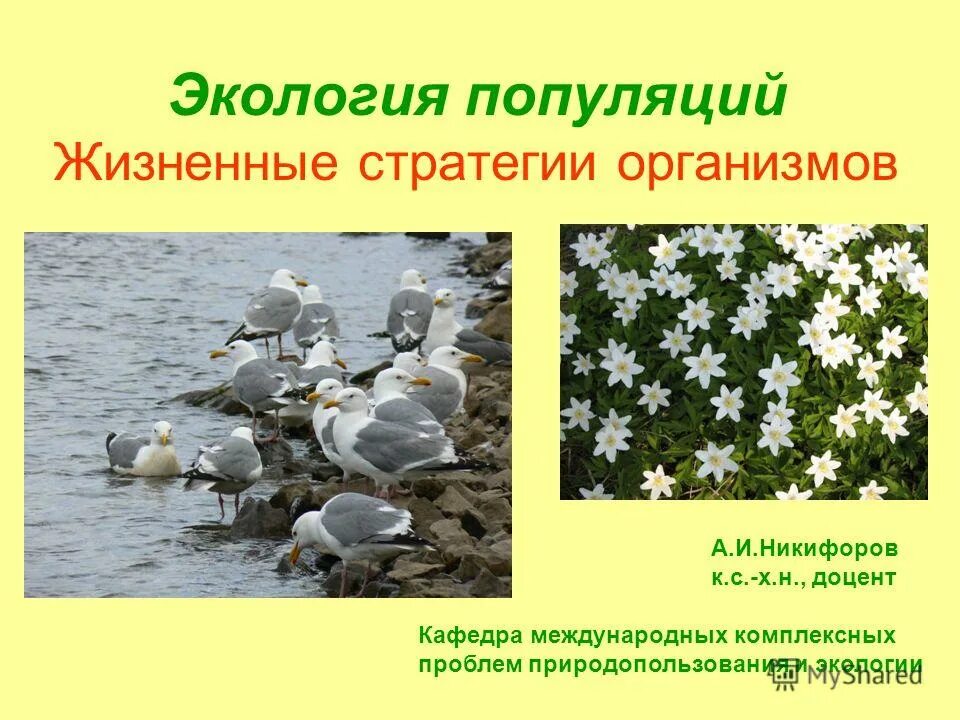 Популяция примеры животных и растений Экологические характеристики популяции вида (Таблица)