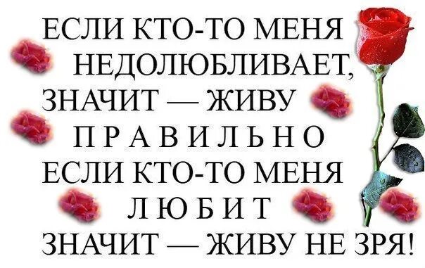 Если кто-то меня недолюбливает. Если кто-то меня недолюбливает значит живу. Если кто-то меня недолюбливает значит живу правильно. Кому я не нужна меня пусть не тревожат.