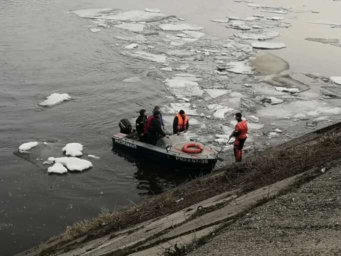 Погрузится ли льдина площадью 8 м2. Льдина откололась. Новокузнецк на льдине. Один на льдине. Льдина с трещинами.