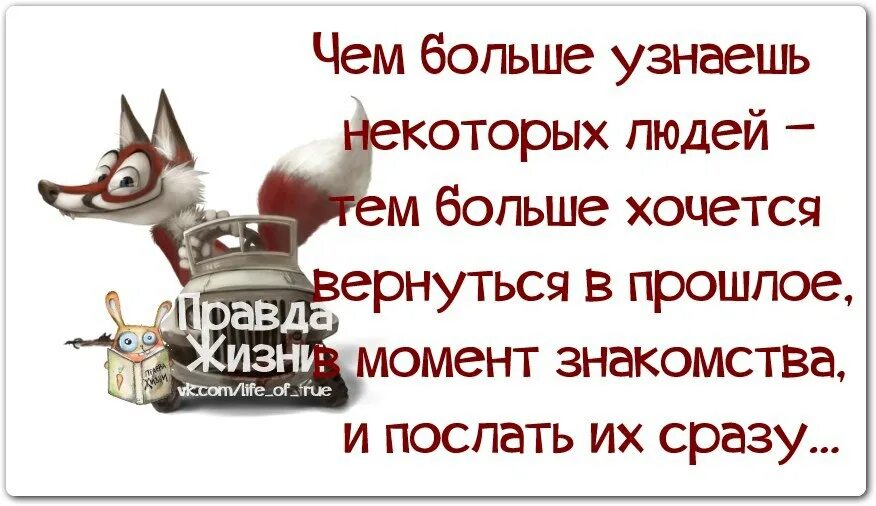 Почему бывшая хочет вернуться. Статусы про неадекватных людей. Статусы про некоторых людей. Некоторых людей хочется послать. Афоризмы про корону на голове.