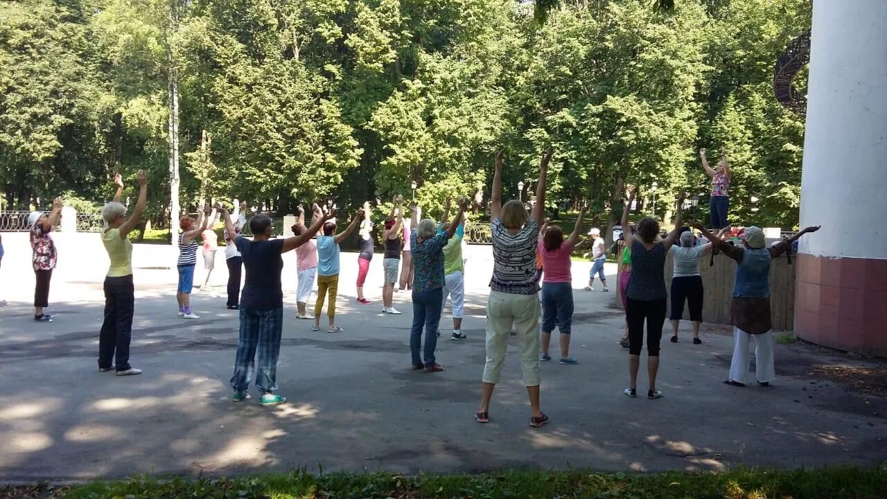 Оздоровительные занятия пенсионеров в парке. Активное долголетие Новгородская.