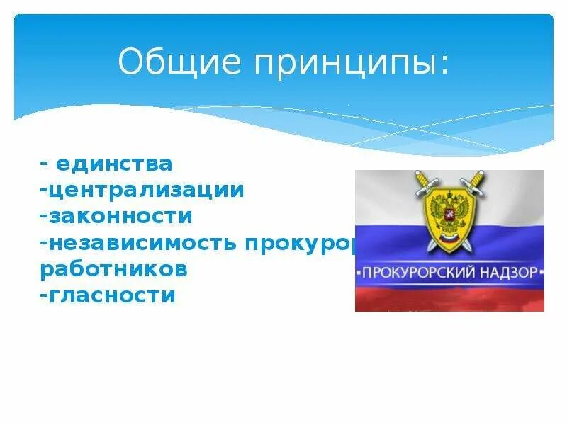 Что такое незыблемость. Принципы прокурорского надзора. Принцип единства прокурорского надзора. Принципы прокурорского надзора в РФ. Принцип незыблемости прав и свобод человека.