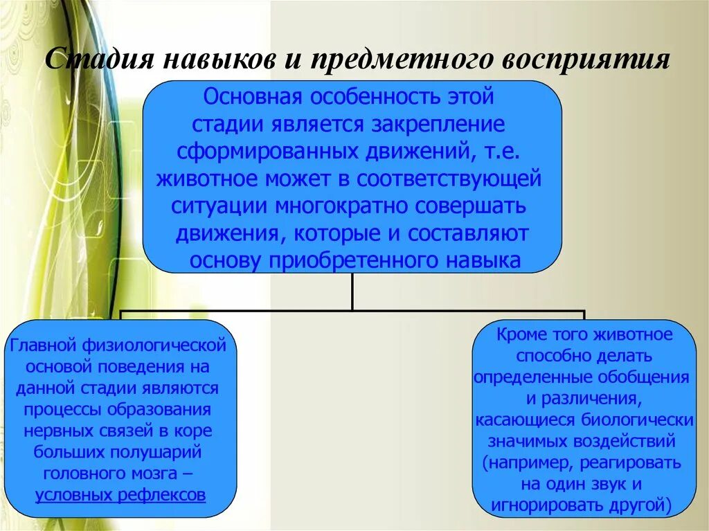 4 этапа восприятия. Стадия навыков и предметного восприятия. Стадии восприятия. Восприятие социальное и предметное. Предметный характер восприятия пример.