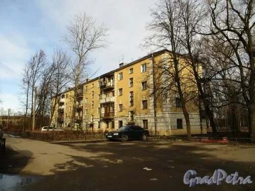 Улица политрука пасечника санкт петербург. Улица политрука пасечника санкт петербург. Улица политрука пасечника санкт петербург. Улица политрука пасечника санкт петербург. Улица политрука пасечника санкт петербург.