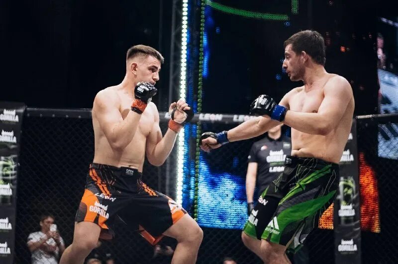 Майкл чендлер юфс. Бой конор макгрегор vs майкл чендлер. Fighter 2023. Fighter 2023. Street fighter корпоратив арт.