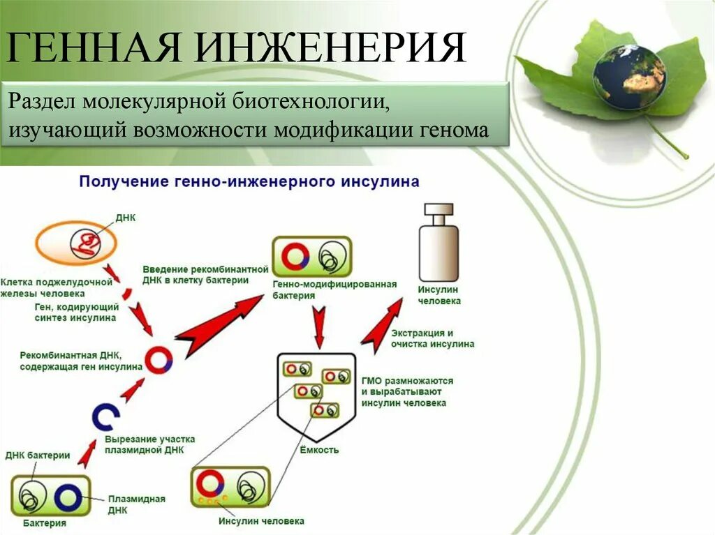 Генная инженерия. Биотехнология генетическая инженерия. Генная инженерия примеры. Генная инженерия процесс. Этапов биотехнологии получения инсулина