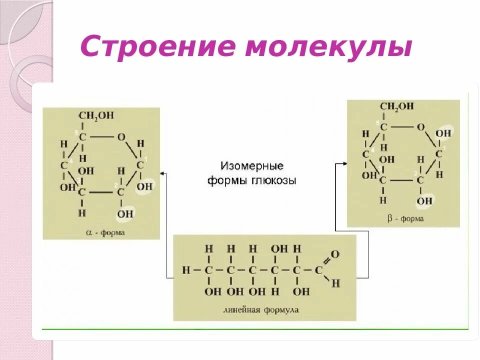 Углеводы самостоятельная работа 10 класс химия. Строение молекулы сахаридов. Линейные формулы углеводов. Углеводы строение молекулы. Структура углеводов.