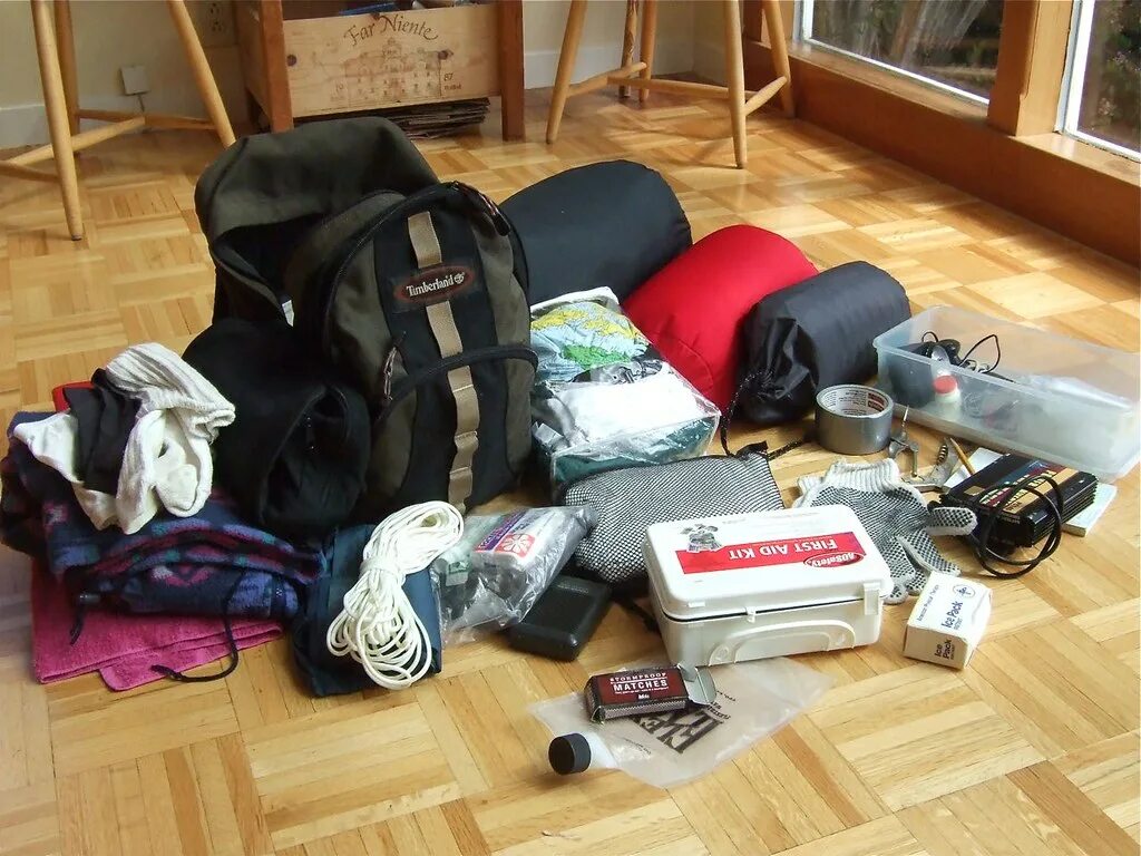 Предметы первой необходимости. Тревожный чемоданчик мчс. Чрезвычайный чемоданчик. Вещи и продукты первой необходимости при чс. Тревожный чемоданчик гражданский комплектация.