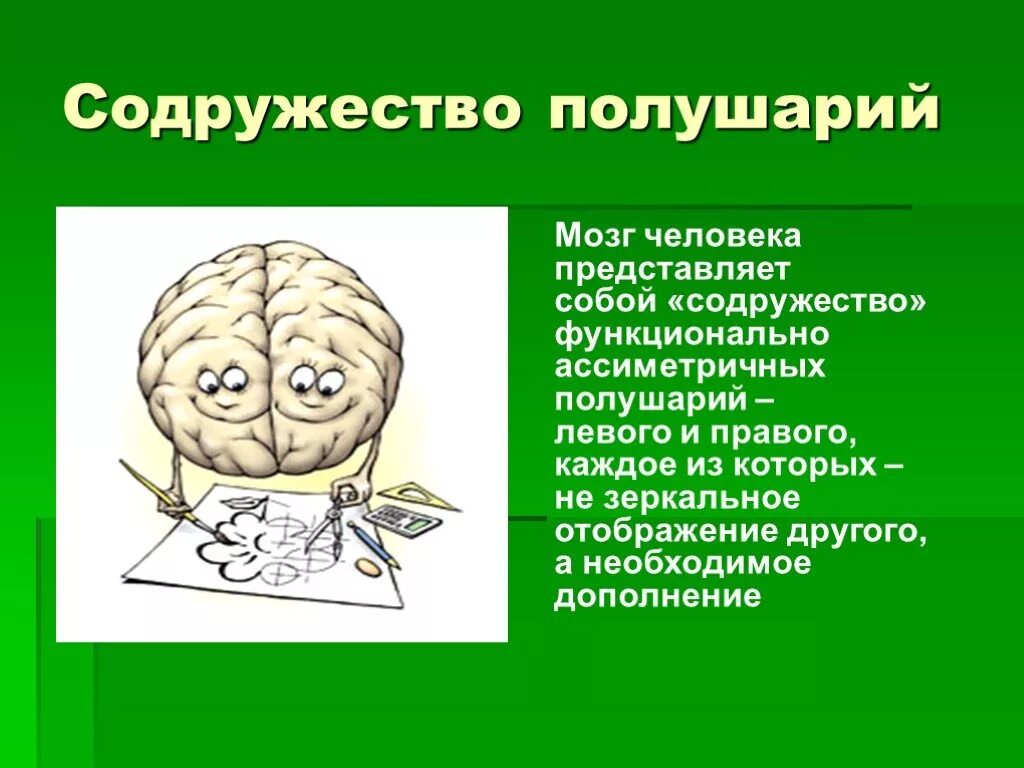 Упражнения для мозга. Кинезиологические упражнения для мозга. Гимнастика мозга для дошкольников. Межполушарные занятия для детей.