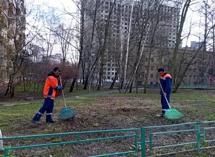 Жилищник левобережный