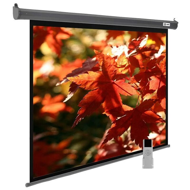Экран cactus silvermotoexpert cs pssme. Cactus 150x200см silvermotoexpert CS-pssme-200x150-WT 4:3 настенно-потолочный рулонный белый. Экран Cactus silvermotoexpert CS-pssme-200x150-DG. Экран Cactus CS-pssme-200x150-DG. Экран настенно-потолочный Cactus silvermotoexpert CS-pssme-200x150-WT белый.