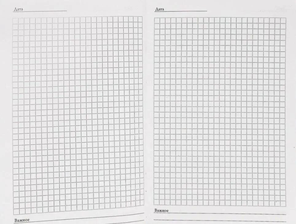 Клеточки на листе а4. Concrete мозаика серый 30х30. Клетка 5мм на 5мм на а4. 5 см. А4 в клетку 0.