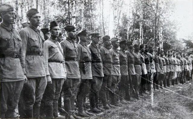 43 стрелковая. 43 стрелковая. 43 стрелковая. 43 стрелковая. 43 стрелковая.