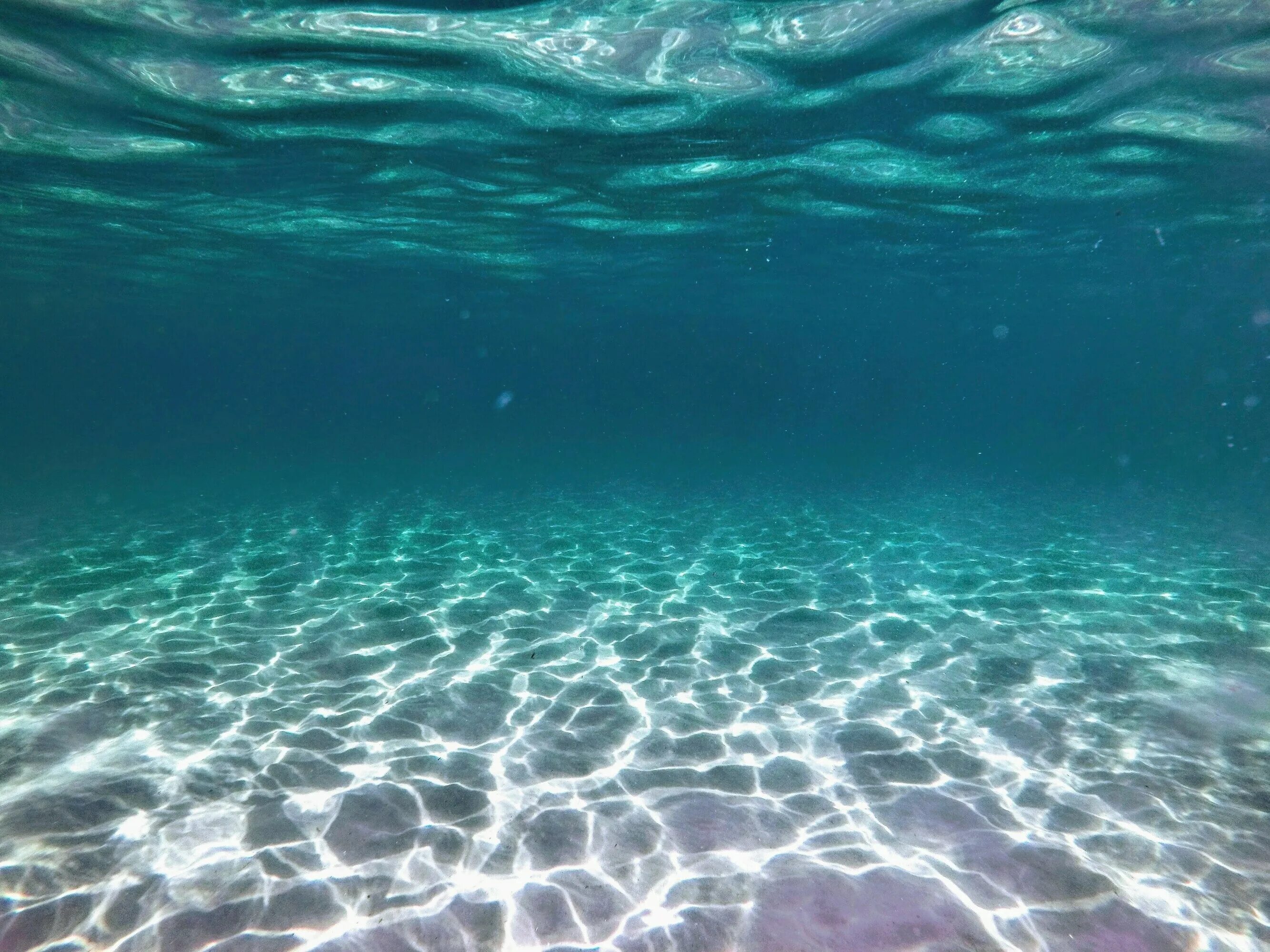 Верхние толщи воды. Под водой. Море под водой. Вид под водой в океане. Океан под водой.