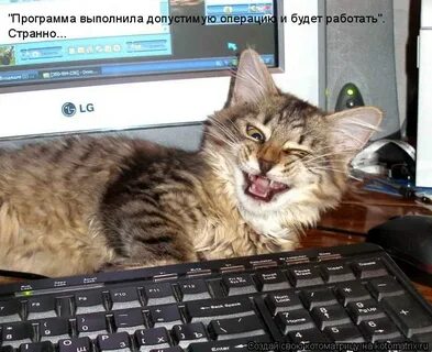 Просто тут