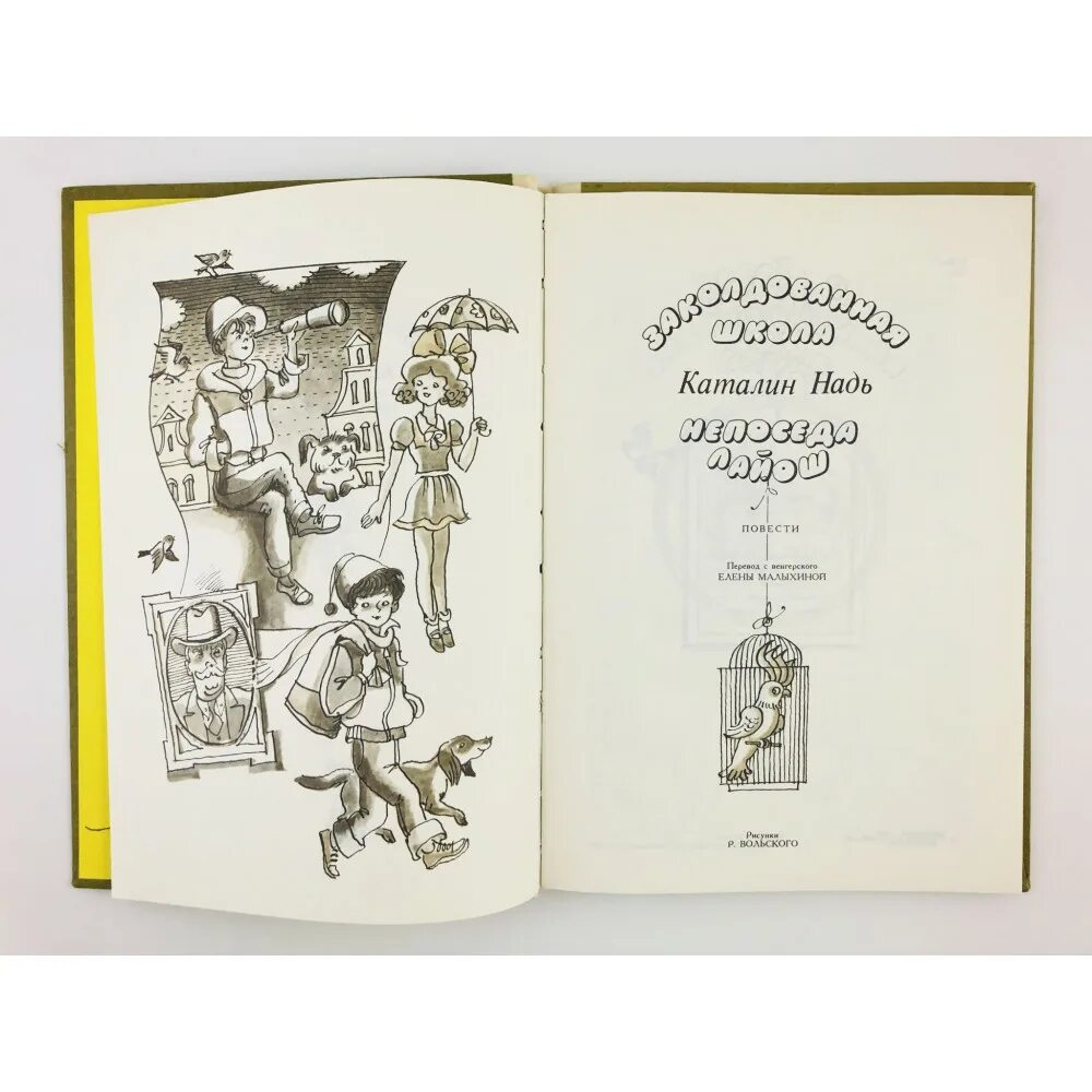 Надь к. Заколдованная школа. Заколдованная школа книга. Заколдованная школа читать. Русский язык в заколдованной школе.