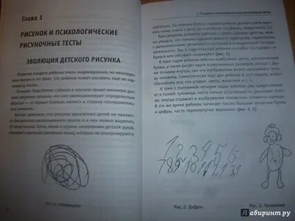 Рисуночные тесты по психологии расследования преступлений