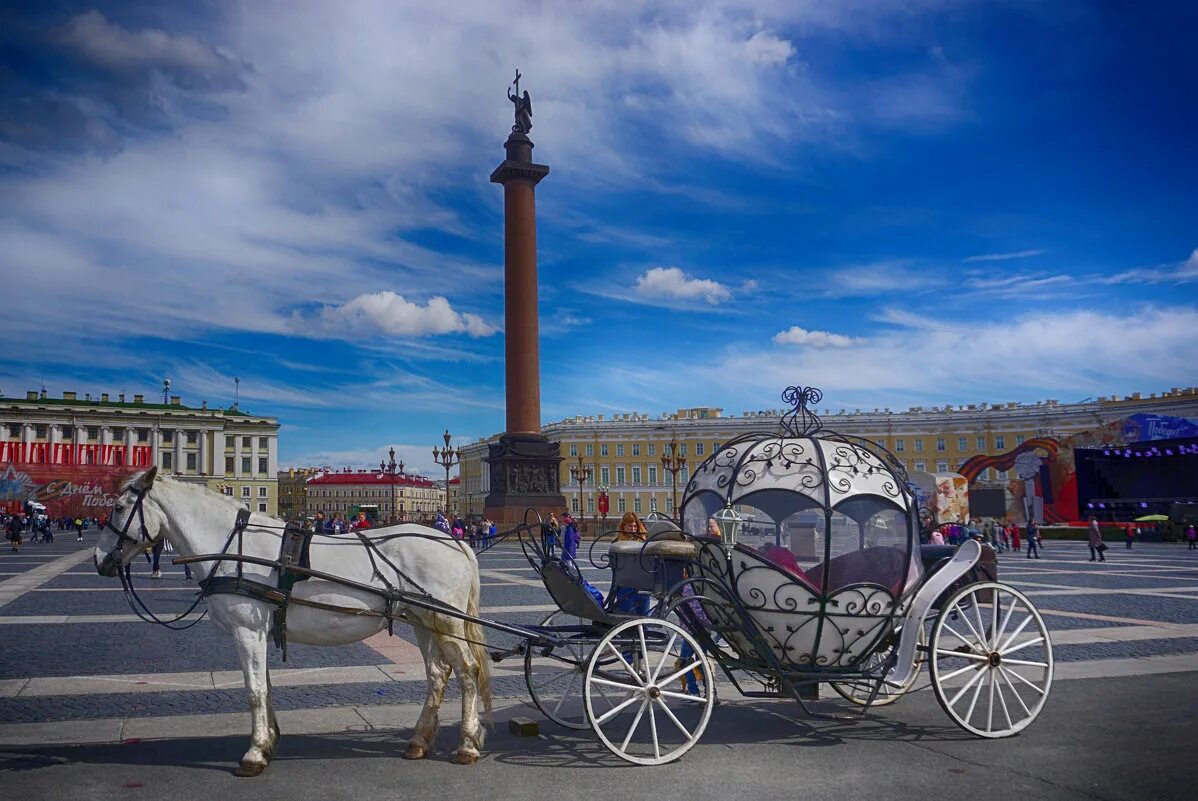 лошади в питере в центре. площадь кони. дворцовая площадь карета. кони церетели на манежной площади. фонтан на манежной площади церетели.