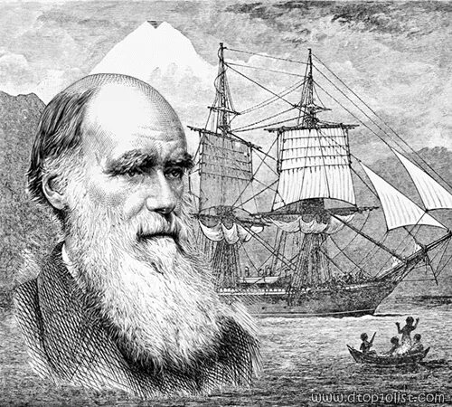 Дарвин морская. Корабль бигль дарвин. Дарвин морская. Корабль бигль дарвин. Дарвин морская.