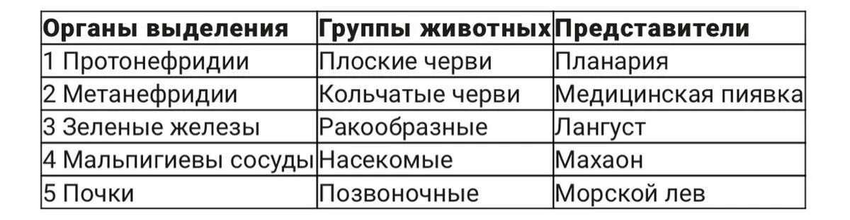 Название групп органов. Система органов выделения животных. Группа животных органы выделения. Таблица животные и органы выделения. Выделительная система таблица.