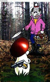 Хитрые грибочки
