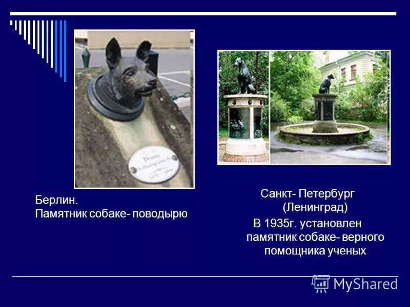 Памятник собаке изложение. Памятник собаке лео. Памятник собаке доставившей лекарство. Памятник собаке изложение. Памятник барри- самый знаменитый памятник собаке возведён в париже.