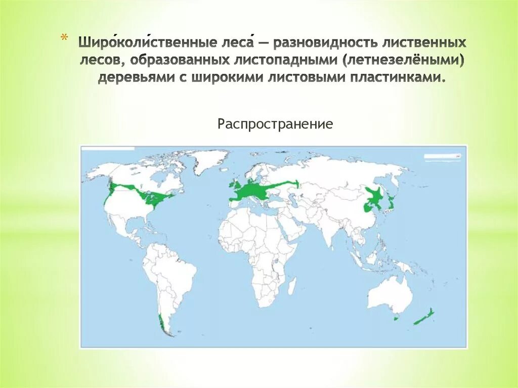 Где находится лес на карте