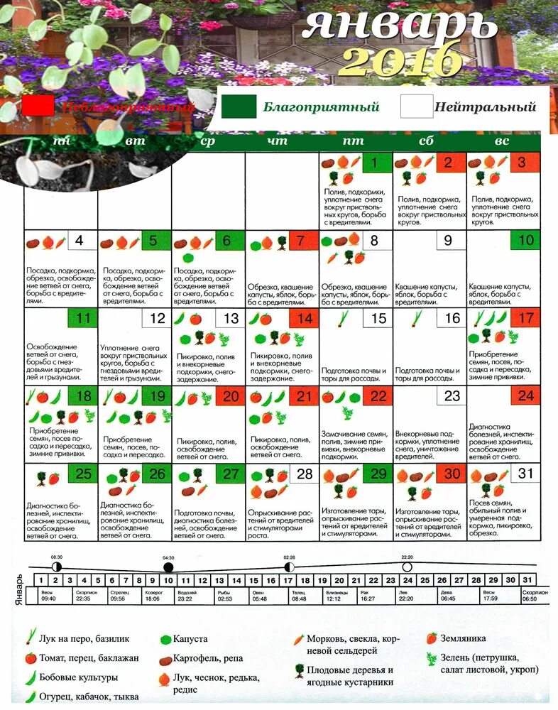 Посадочный календарь на январь. Луна посевной календарь на январь. Лунный посевной календарь на январь. Календарь посадки растений. Благоприятные дни для посадки пересадки цветов