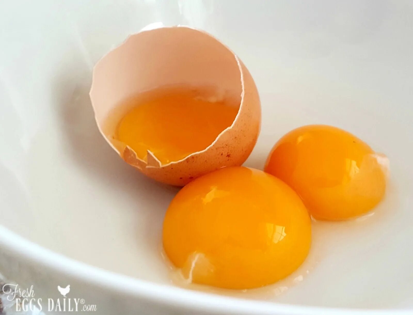 Почему яйцо оранжевое. Яичный желток. Оранжевое яйцо. Желток куриного яйца. Яйца с ярким желтком.