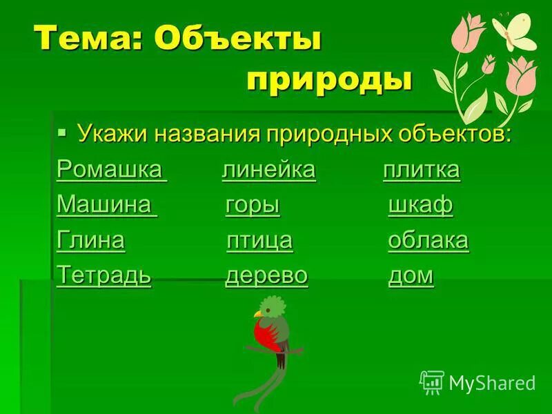 Укажи объекты природы